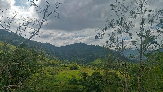 Foto imóvel