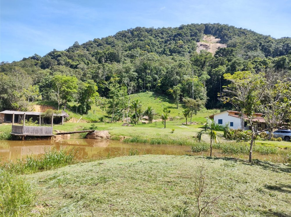 Stio - Venda - Crrego dos Micos - Paraty - RJ