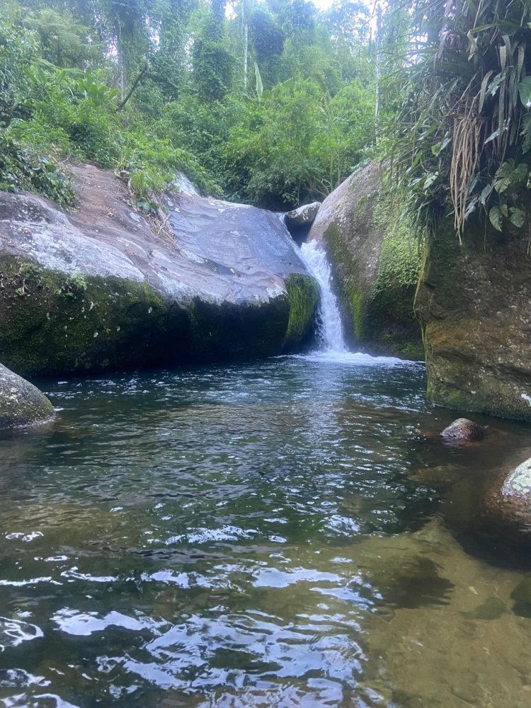 Lote - Venda - Vrzea do Corumbe - Paraty - RJ