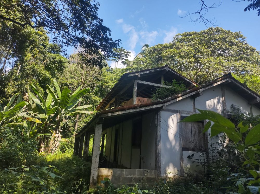 Chcara - Venda - Corisquinho - Paraty - RJ